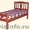 Кровати из массива сосны - Изображение #2, Объявление #1055801