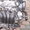 Двигатель б/у  Toyotа  Auris,   COROLLA 1.6 16V  2012г , 1ZR #1075547