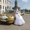 Заказ Золотого Мерседеса S-500 на свадьбу в Москве - Изображение #8, Объявление #1070857