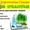 Выращиватель пера зелёного лука, чеснока гидропонная установка Луковое Счастье - Изображение #4, Объявление #1087052
