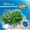 Домашняя гидропонная установка Здоровья Клад Проращиватель семян, ростков - Изображение #1, Объявление #1087054