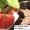 Саженцы клубники(не усы)новейшего крупноплодного  сорта Чамора Куруси-почтой. - Изображение #2, Объявление #1105893