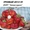 Саженцы клубники(не усы)новейшего крупноплодного  сорта Чамора Куруси-почтой. - Изображение #6, Объявление #1105893