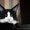 Кот Мейн Кун 4 мес - Изображение #1, Объявление #1097846