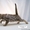 Саванна F3 котенок гепардовый окрас - Изображение #2, Объявление #1099675