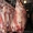 Мясо говядины оптом с доставкой по России #1116493