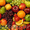 Элитные овощи и фрукты от производителя оптом #1120146