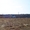 7 соток рядом с лесом, Дмитровское ш, 12 км от МКАД - Изображение #3, Объявление #1115714