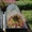 Сборный переносной Мини Парник ПДМ для рассады и растений на даче, в саду - Изображение #3, Объявление #1120248