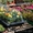 Сборный переносной мини парник для рассады и растений на даче, в саду, огороде - Изображение #3, Объявление #1120237