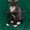 Донские сфинксы – котики - Изображение #4, Объявление #1135117