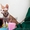Донские сфинксы – котики - Изображение #6, Объявление #1135117
