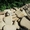 Валуны, галька, песчаник для отделки и ландшафта - Изображение #7, Объявление #1132105