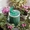 GA 010 Green Helper система авто капельного полива для домашних растений - Изображение #3, Объявление #1145174