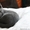 Красивые котята русской голубой породы - Изображение #5, Объявление #1153100