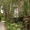 Земельный участок  83 сотки с вековыми соснами в г. Звенигород - Изображение #4, Объявление #1148080