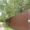 Земельный участок  83 сотки с вековыми соснами в г. Звенигород - Изображение #7, Объявление #1148080