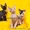 Котята – коты Донские сфинксы Hermes и Арамис - Изображение #4, Объявление #1162493