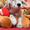 Крапчатые щенки сеттерa c родocловной - Изображение #1, Объявление #1159829