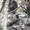маламут аляскинский щенки - Изображение #3, Объявление #1189201