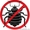 Уничтожение клопов,  тараканов,  блох,  моли,  муравьев,  клещей,  комаров,  мух и др. #1219456