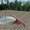 Зернохранилища.  Кольцевые шатровые быстровозводимые  - Изображение #1, Объявление #1220700