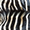 Шкура зебры из ЮАР. - Изображение #2, Объявление #1234869
