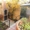 Аренда личной квартиры в Ялте со своим двором,парковкой,мангалом - Изображение #4, Объявление #1250410