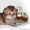 золотой дш британский котенок  - Изображение #5, Объявление #1128723