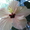 Гибискусы - комнатные растения - Изображение #2, Объявление #1281330