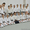 Открытый урок айкидо в школе Дасэйкан #1302911