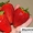 Рассада клубники  самых крупноплодных сортов-новинок - Изображение #8, Объявление #1307215