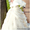 Организация свадьбы. Свадебный распорядитель (координатор) - Изображение #4, Объявление #1316645