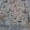 Персидские ковры ручной работы - Изображение #7, Объявление #578847