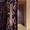 Венецианская штукатурка и др декоративные покрытия в Москве и области - Изображение #1, Объявление #1353892