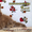 Котенок Мейн Кун красный солид - Изображение #7, Объявление #1352004