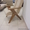 Кресла малогабаритные с подлокотниками из массива березы бука дуба - Изображение #2, Объявление #1357054