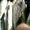 Опт Розница Рыба в наличии в Москве Свежемороженая с Якутии, р. Лена! Заморозка! - Изображение #4, Объявление #1390460