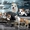 американский стаффордширский терьер щеночки - Изображение #9, Объявление #1401185