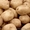 Предлагаем со слада оптом картофель и лук - Изображение #1, Объявление #1437421
