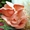 Вешенка розовая – семена - Изображение #3, Объявление #1486459
