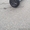 Гироскутер smart balance wheel suv 10,5 Premium - Изображение #2, Объявление #1499953