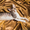 Продажа котят корниш рекс - Изображение #6, Объявление #1502058