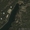 Лесной участок 3 Га на берегу озера в литовском курорте Друскининкай - Изображение #3, Объявление #1511165