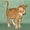 уральский рекс неаллергенные кошки котята #1567087