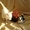 уральский рекс неаллергенные кошки котята - Изображение #2, Объявление #1567087