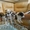   Шикарные щенки Чихуахуа  - Изображение #1, Объявление #1595367