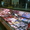 Колбасный отдел в действующем магазине - Изображение #1, Объявление #1593481
