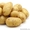 Качественный семенной картофель от производителя #1593463