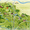 Симферопольское ш. Тульская область. 90 км от МКАД. д. Яковлево - Изображение #2, Объявление #1593796